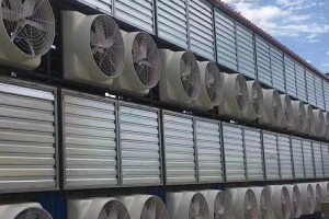 溫室風機的種類劃分